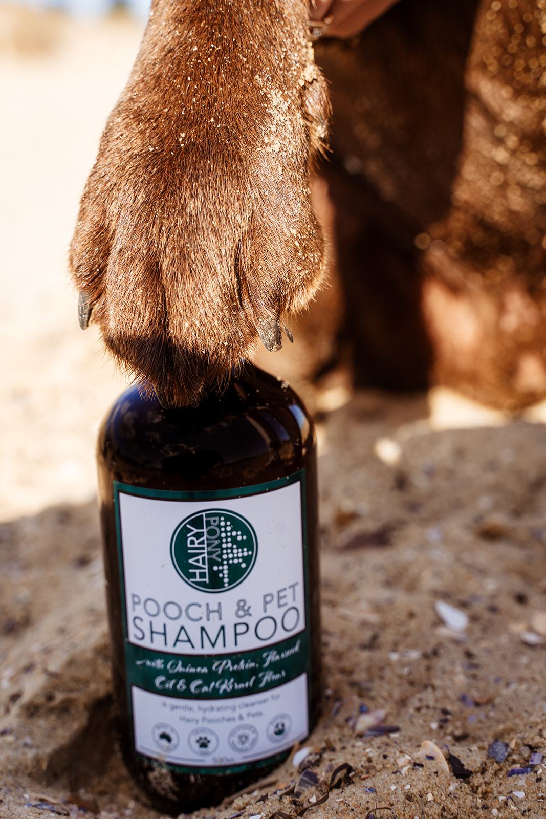 Hairy Pony - Pooch & Pet Shampoo