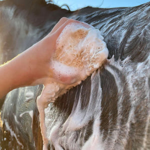 Hairy Pony - Eco Friendly Shampoo Bar