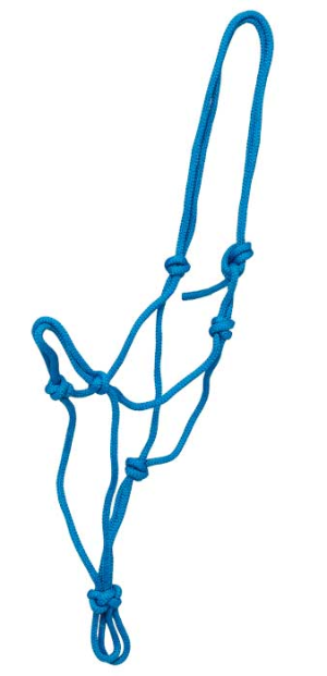 Knotted Rope Halter