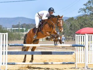Equipped to Ride: Essential Equestrian Gear for Success Equipped to Ride: Essential Equestrian Gear for Success