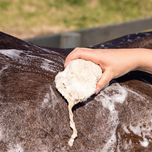 Hairy Pony - Eco Friendly Shampoo Bar