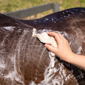 Hairy Pony - Eco Friendly Shampoo Bar