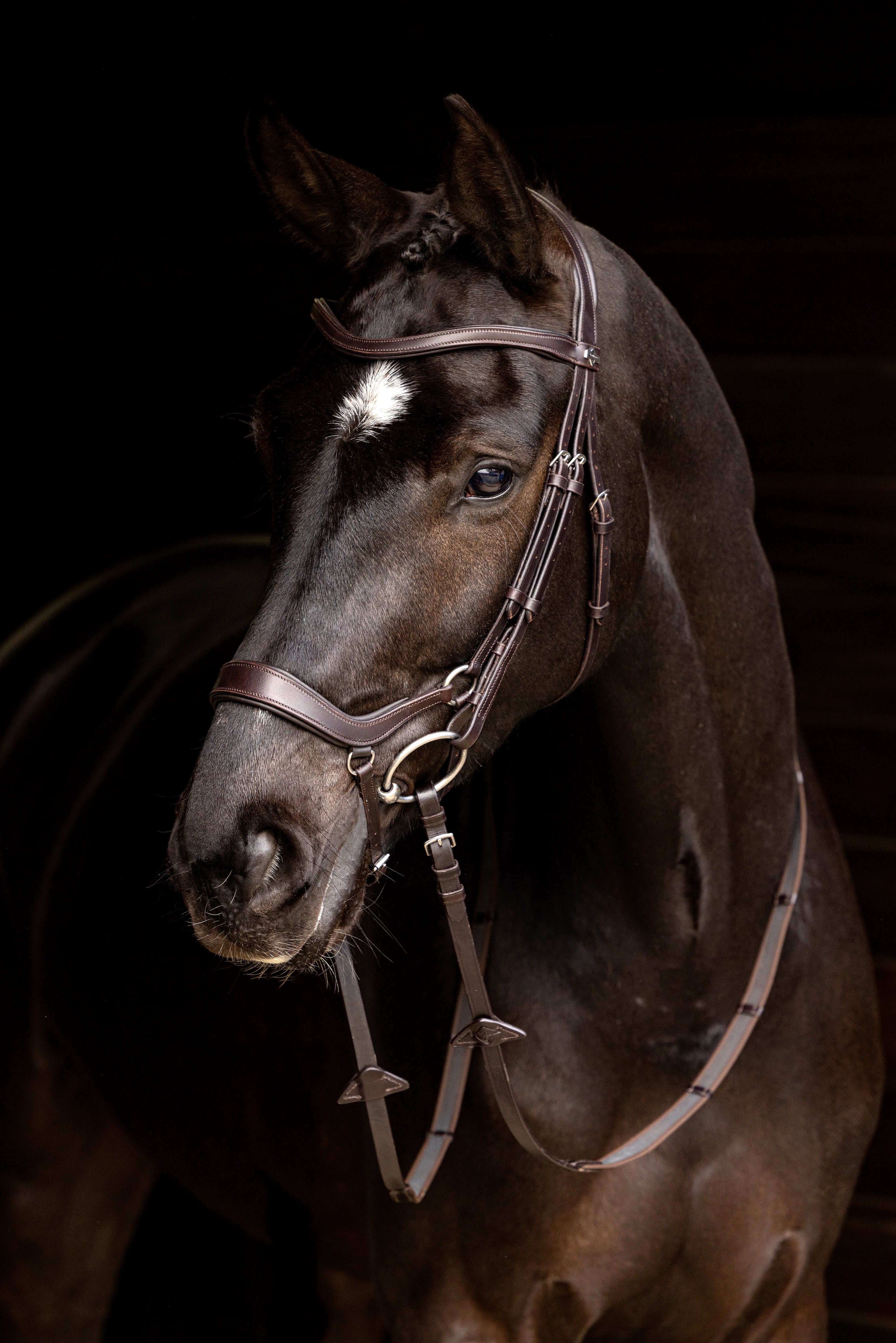 LeMieux - Arika Drop Bridle