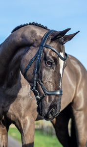 LeMieux - Arika Drop Bridle