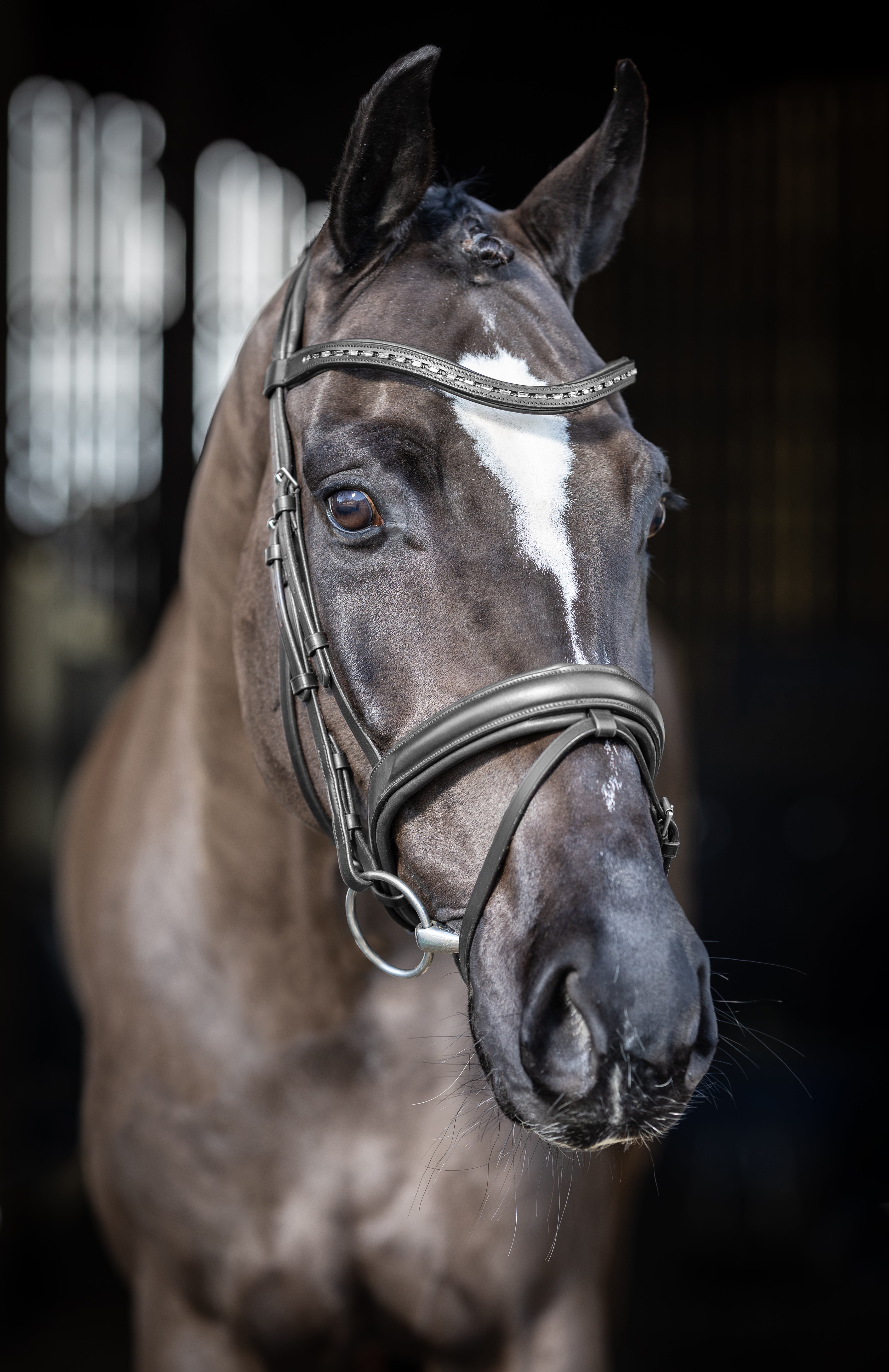 LeMieux - Arika Dressage Bridle