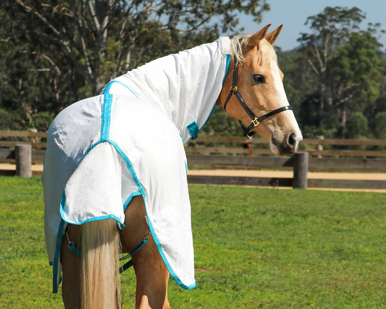 Kool Master - Flag Horse Rug Combo White White & Turquoise