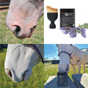 Equidae - Soothing & Calm Sunscreen Powder 100g + Brush (for horses)