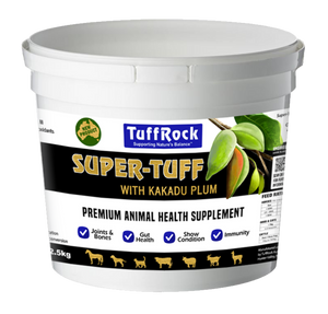 Tuff Rock - Super Tuff with Kakadu Plum Vitamin C