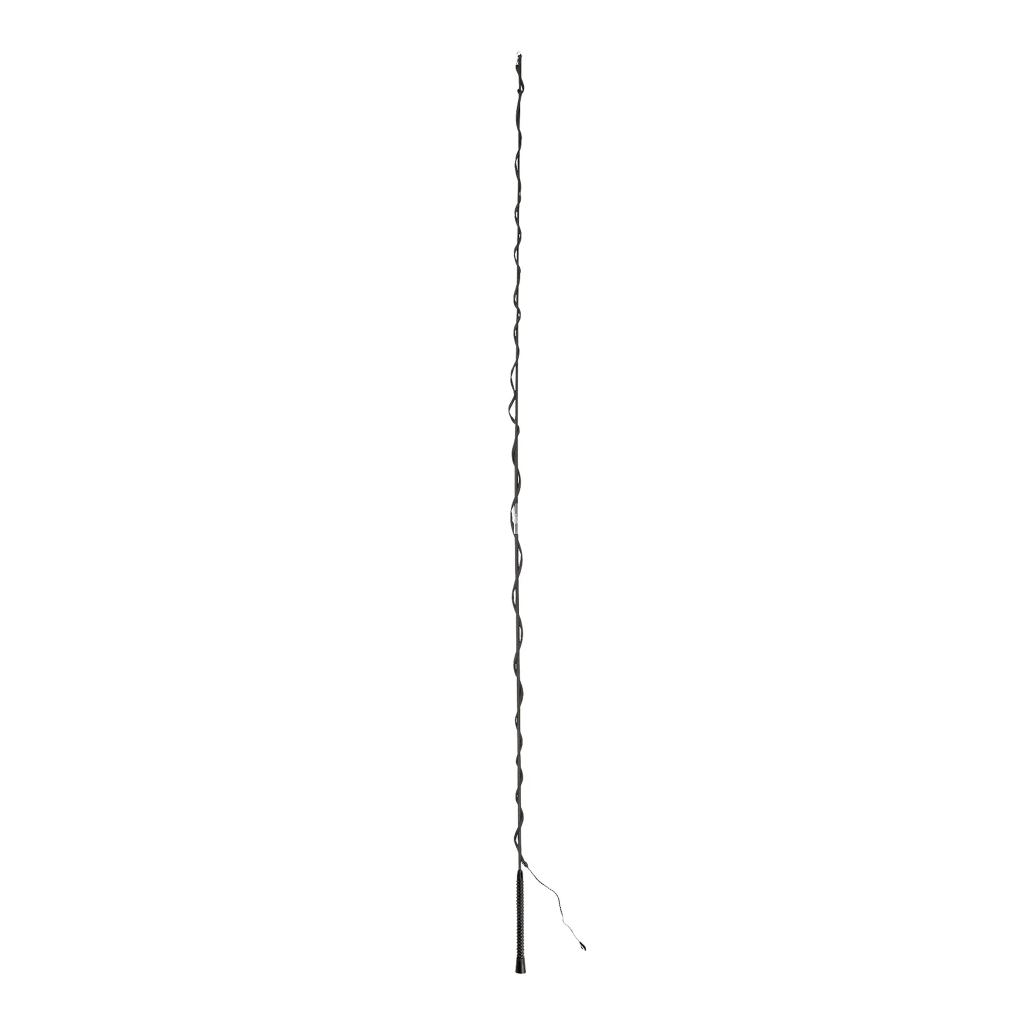Lunge Whip 2-Part Black 180cm