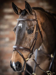 LeMieux - Kudos Competition Flash Bridle