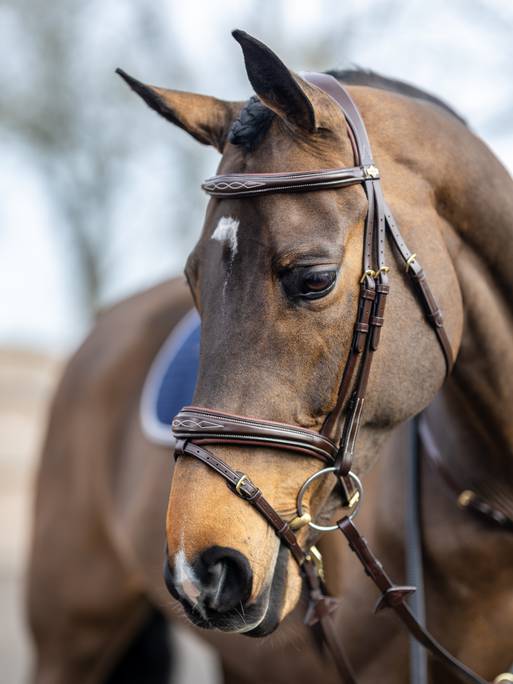 LeMieux - Kudos Competition Flash Bridle