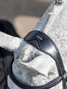 LeMieux - Kudos Competition Flash Bridle