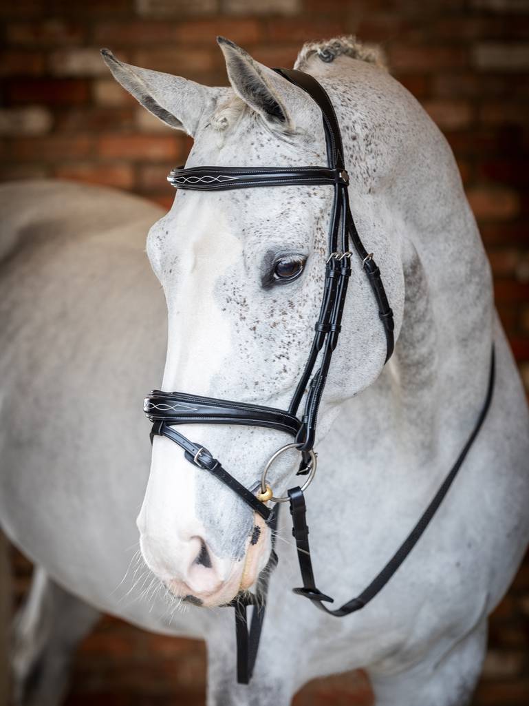 LeMieux - Kudos Competition Flash Bridle