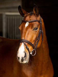 LeMieux - Arika Flash Bridle