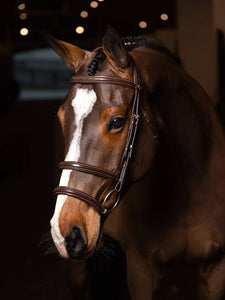 LeMieux - Kudos Double Noseband bridle