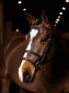 LeMieux - Kudos Double Noseband bridle