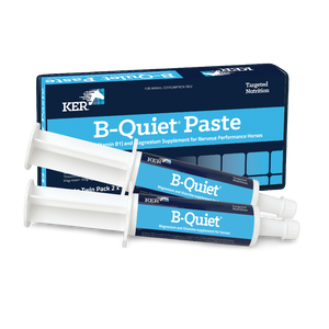 Ker B-Quiet Paste Twin Pack