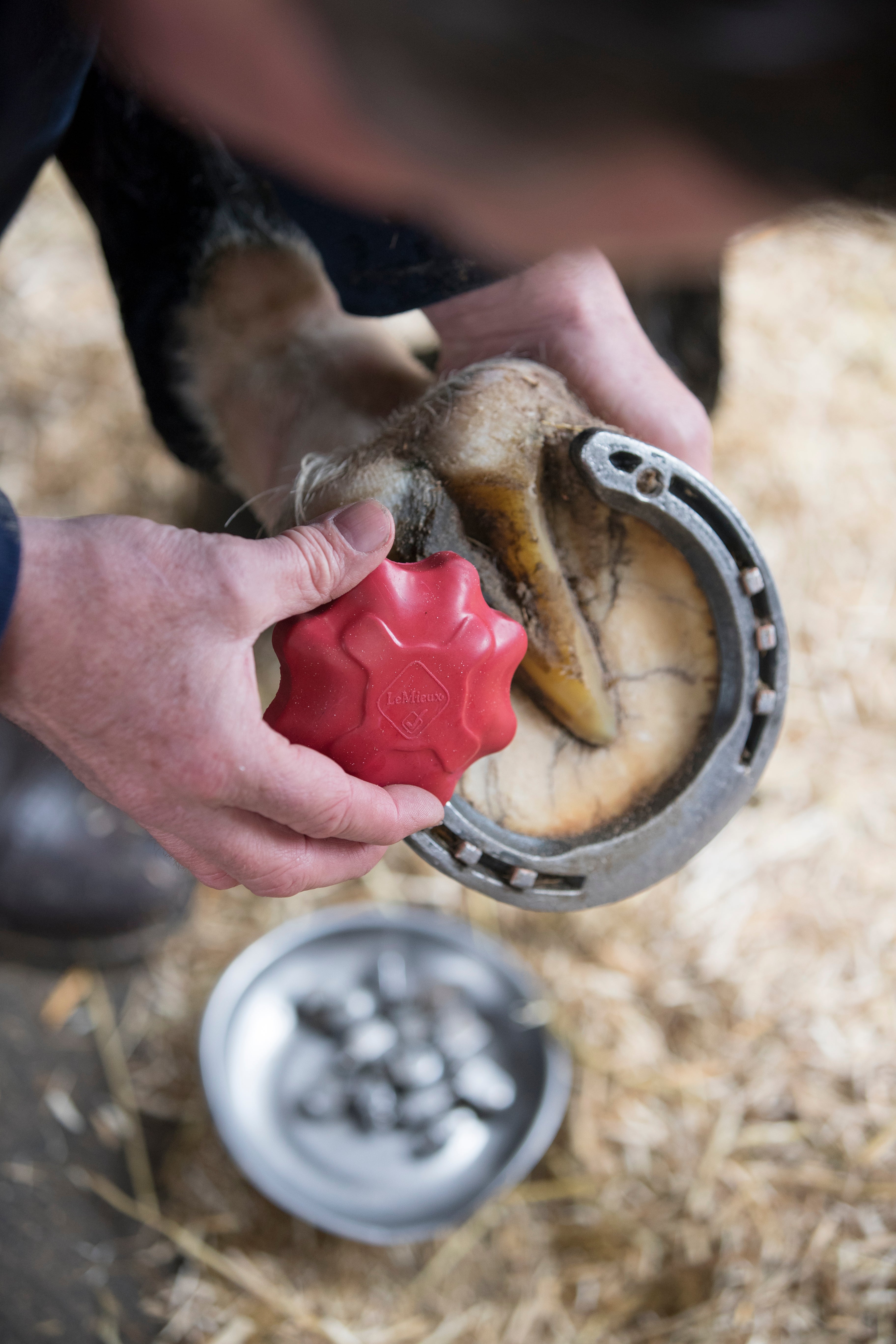 LeMieux - Safety Stud Tap Red One Size