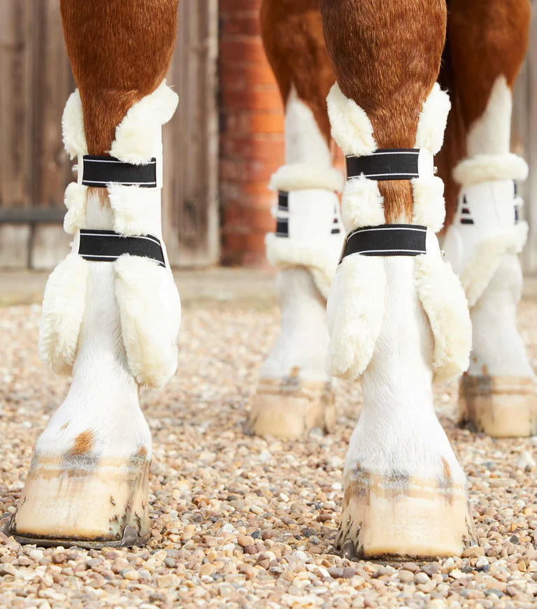 Techno wool top tendon boots