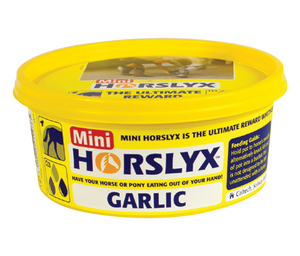 Horslyx -Mini
