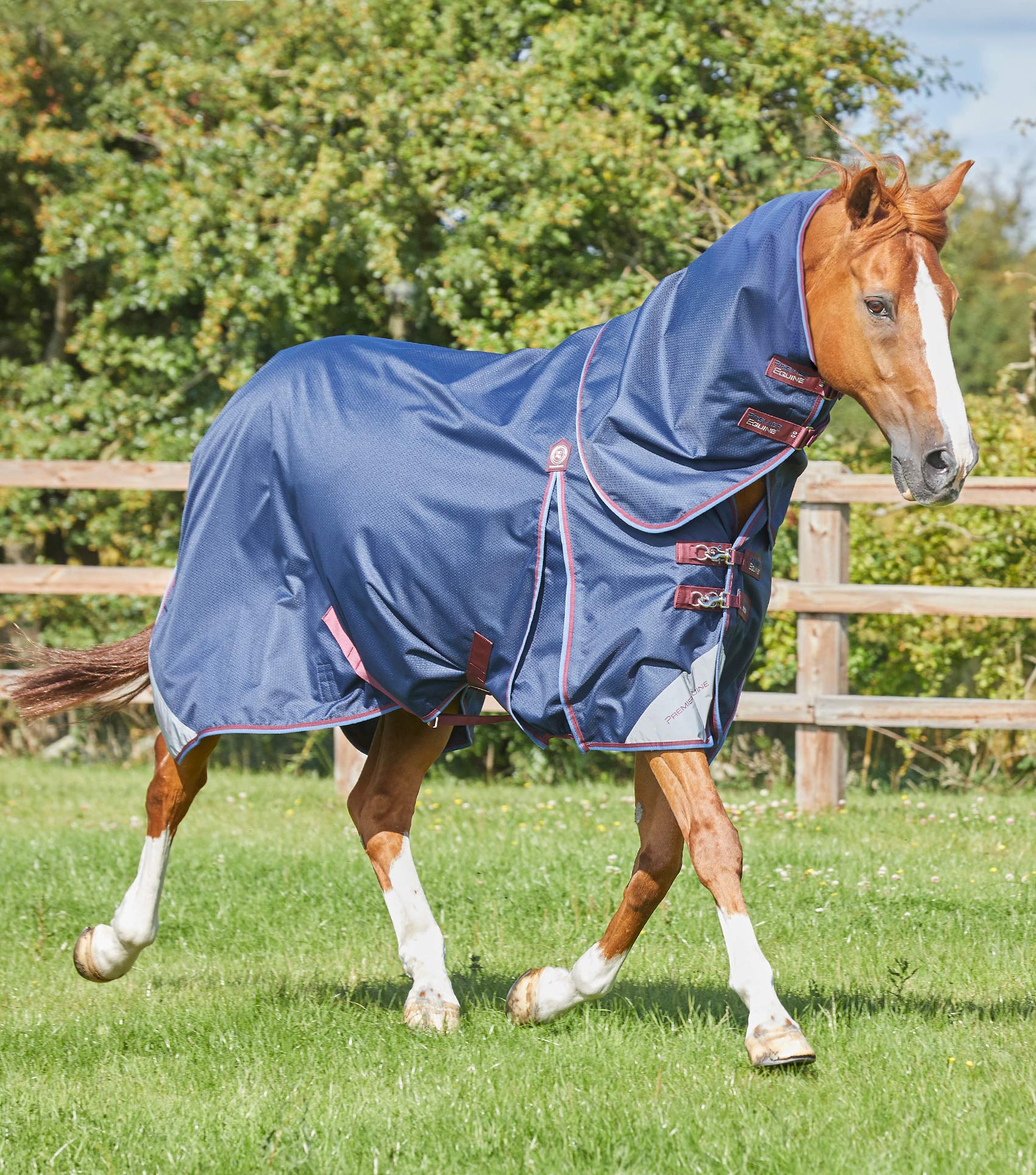 PE - Akoni 0g Turnout Rug with Classic Neck Cover