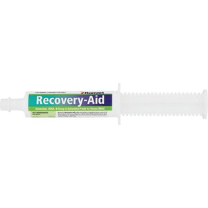 Ranvet Recovery Aid Paste 80ml