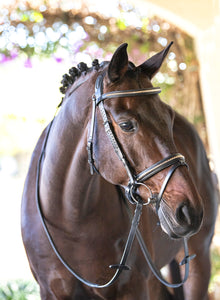 Equiline - Gold Clincher Browband