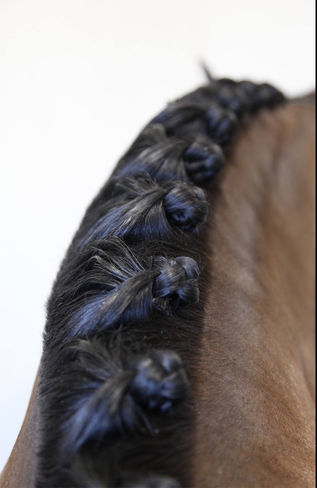 Hairy Pony Taming Wax