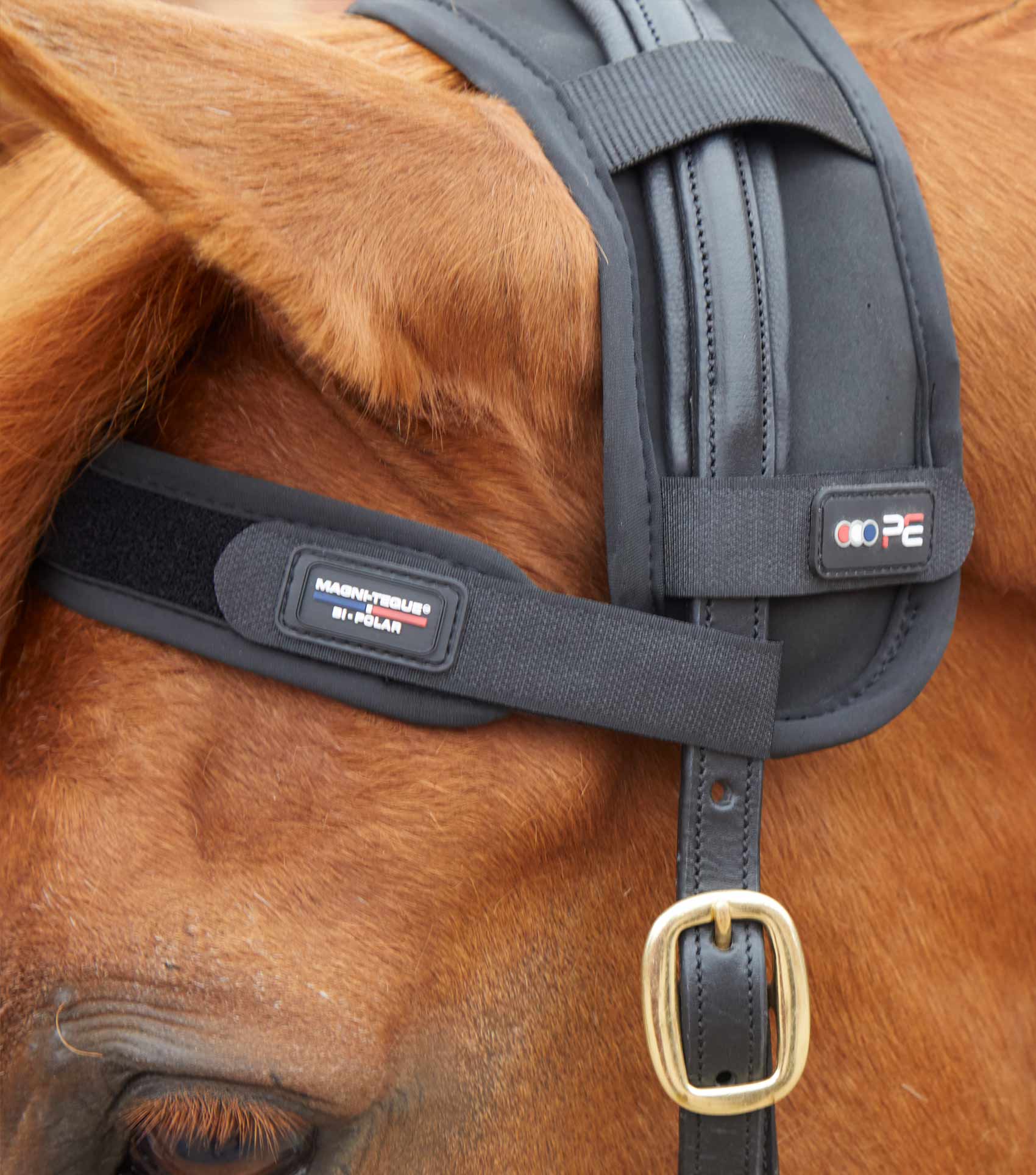 PE - Magni-Teque Magnetic Browband