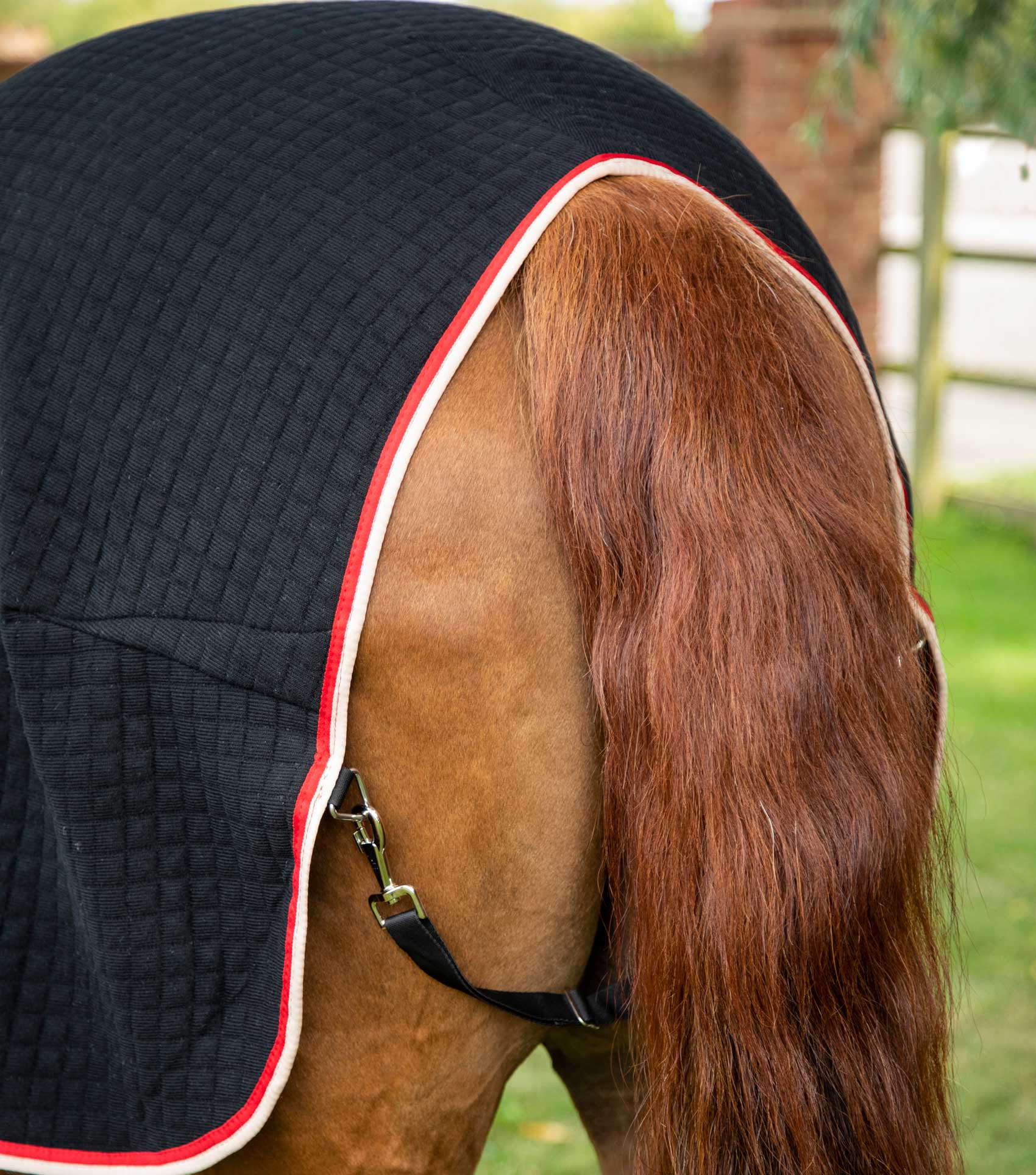 PE - PremTex Horse Cooler Rug