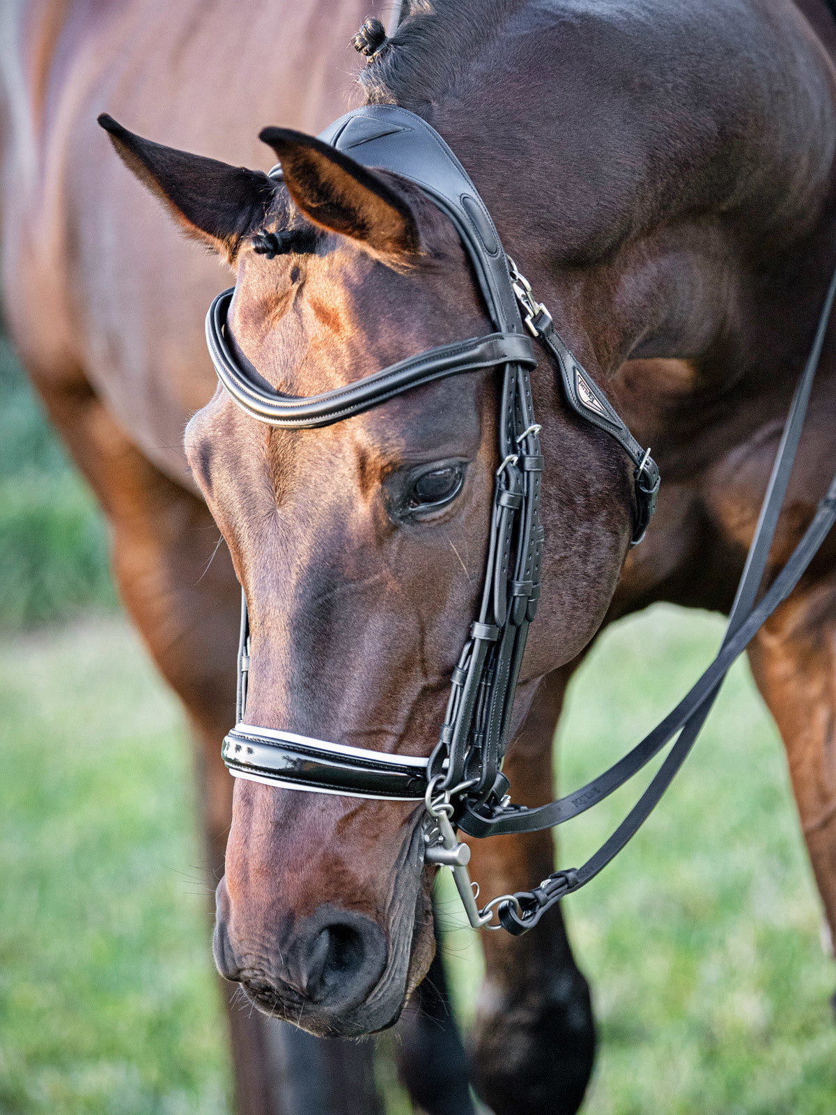 Equiline Equiline - Anatomical DR Bridle – Essential Equestrian Wear