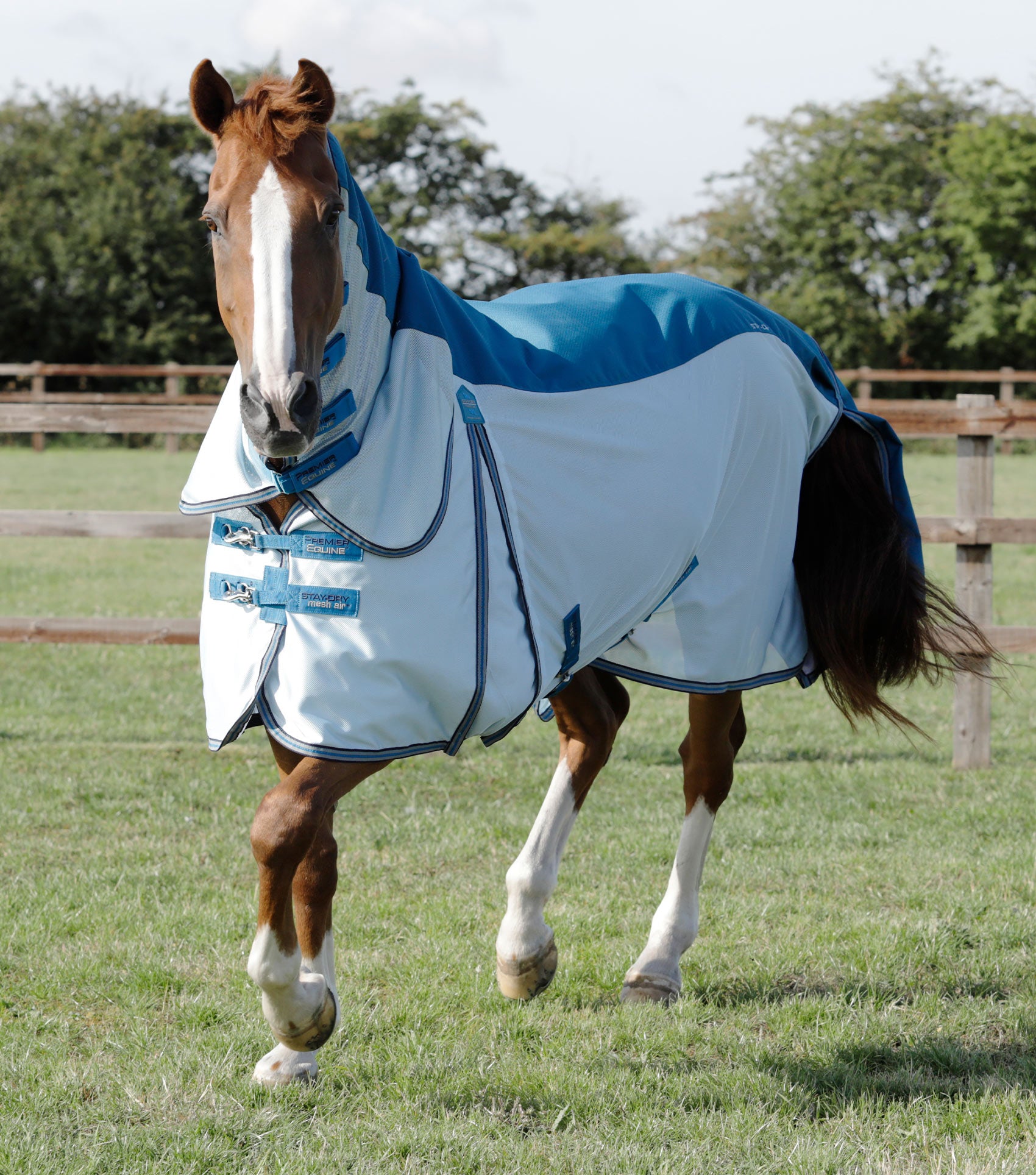 PE - Stay-Dry Mesh Air Fly Rug with Surcingles