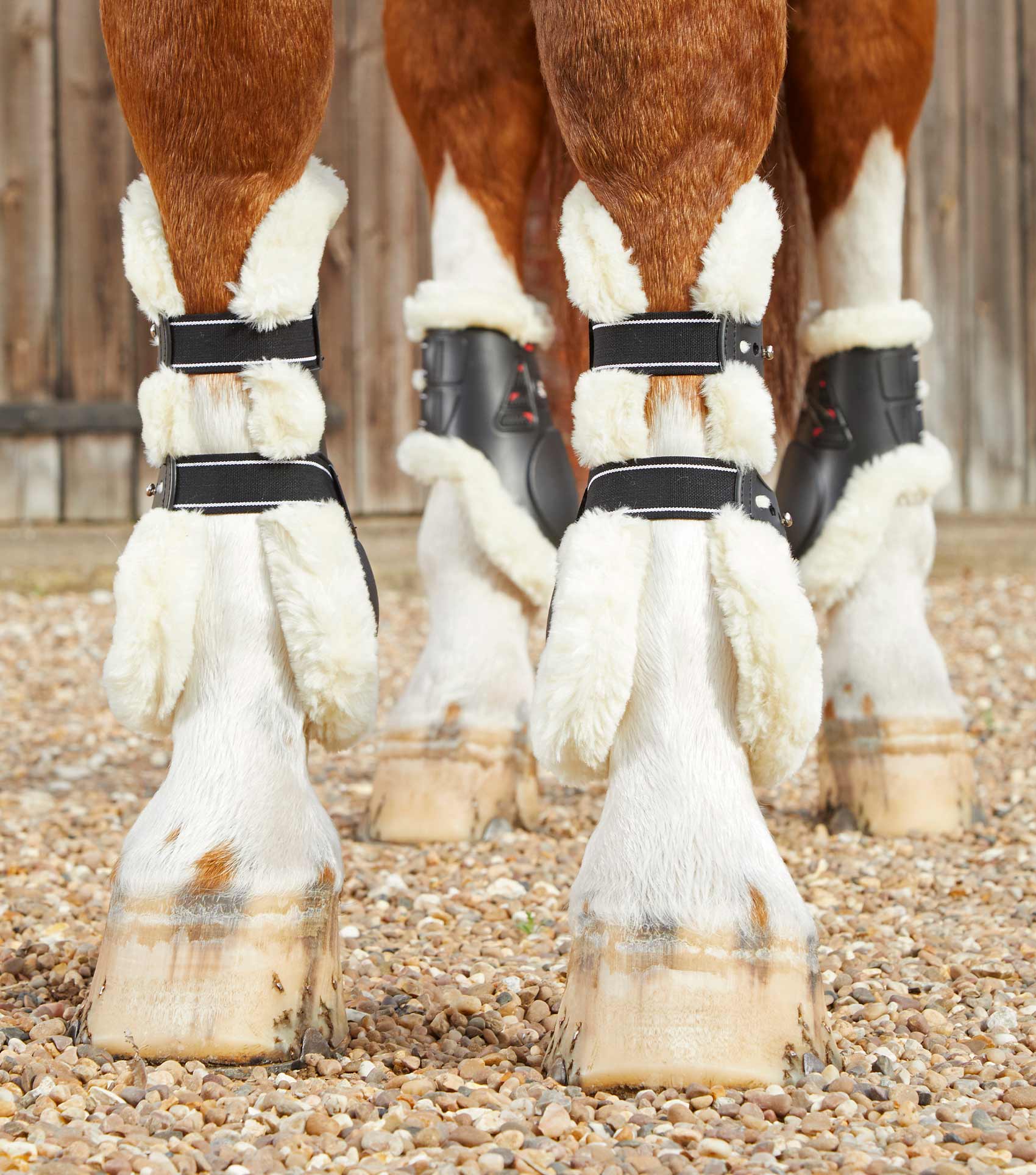 Horse jumping shop boots for sale