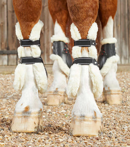 Tendon boots hot sale for horses