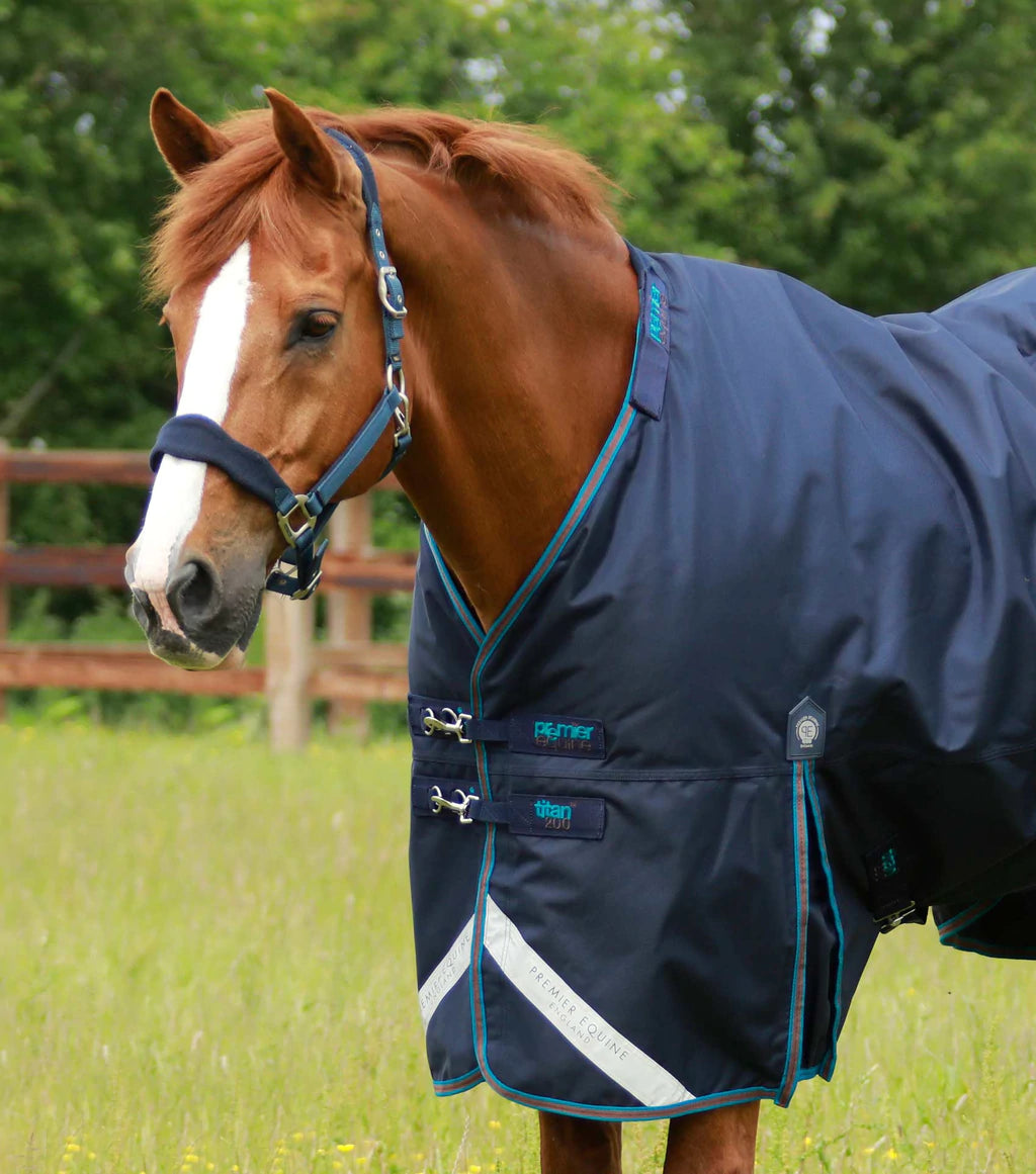 PE - Titan 200g Turnout Rug with Snug-Fit Neck Cover