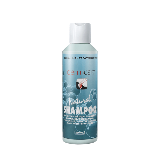 Dermcare Pyohex Shampoo
