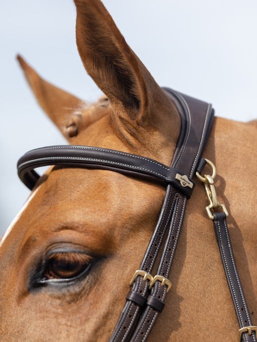 LeMieux - Kudos Work Bridle