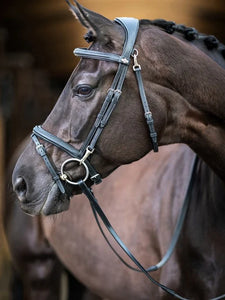 LeMieux - Kudos Work Bridle